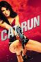 Cat Run (2011) Cat Run (2011)