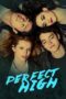 Perfect High (2015) Perfect High (2015)