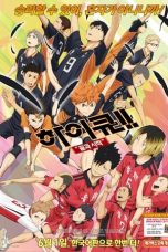 Haikyuu!! The Movie: The End and the Beginning (2015)