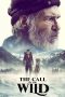 The Call of the Wild (2020) The Call of the Wild (2020)