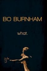 Bo Burnham: What. (2013)