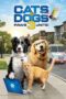 Cats & Dogs 3: Paws Unite (2020) Cats & Dogs 3: Paws Unite (2020)