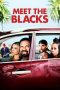 Meet the Blacks (2016) Meet the Blacks (2016)