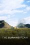 The Burning Plain (2008) The Burning Plain (2008)
