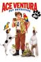 Ace Ventura Jr: Pet Detective (2009) Ace Ventura Jr: Pet Detective (2009)