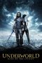 Underworld: Rise of the Lycans (2009) Underworld: Rise of the Lycans (2009)