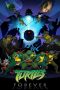 Turtles Forever (2009) Turtles Forever (2009)