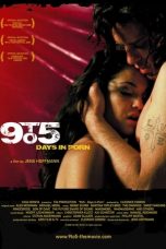 9to5: Days in Porn (2008)