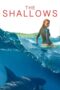 The Shallows (2016) The Shallows (2016)