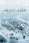 Winter Sleep (2014) Winter Sleep (2014)