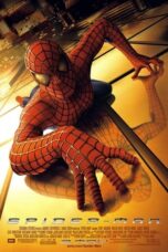 Spider-Man: The Mythology of the 21st Century (2002)