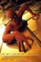 Spider-Man: The Mythology of the 21st Century (2002)