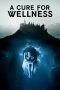 A Cure for Wellness (2017) A Cure for Wellness (2017)