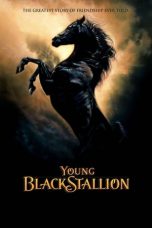 Young Black Stallion (2003)