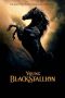 Young Black Stallion (2003) Young Black Stallion (2003)