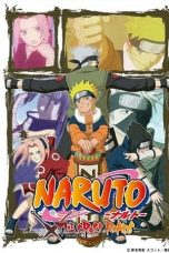 Naruto: The Cross Roads (2009)