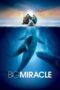 Big Miracle (2012) Big Miracle (2012)