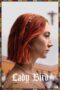 Lady Bird (2017) Lady Bird (2017)