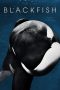 Blackfish (2013) Blackfish (2013)
