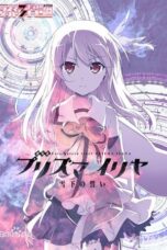 Fate/kaleid liner Prisma☆Illya: Vow in the Snow (2017)