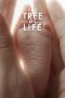 The Tree of Life (2011) The Tree of Life (2011)