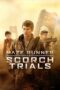 Maze Runner: The Scorch Trials (2015) Maze Runner: The Scorch Trials (2015)