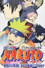 Naruto: The Lost Story – Mission: Protect the Waterfall Village! (2003)