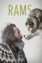 Rams (2015) Rams (2015)