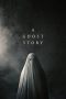 A Ghost Story (2017) A Ghost Story (2017)