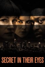 Secret in Their Eyes (2015)
