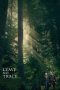 Leave No Trace (2018) Leave No Trace (2018)