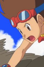 Pokémon Ranger: Guardian Signs (2010)