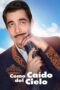 Out Of The Clear Blue Sky (2019) Out Of The Clear Blue Sky (2019)