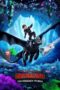 How to Train Your Dragon: The Hidden World (2019) How to Train Your Dragon: The Hidden World (2019)