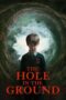 The Hole in the Ground (2019) The Hole in the Ground (2019)