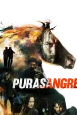 Thoroughbred (2016)