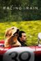 The Art of Racing in the Rain (2019) The Art of Racing in the Rain (2019)
