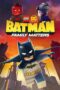Lego DC Batman: Family Matters (2019) Lego DC Batman: Family Matters (2019)