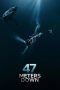 47 Meters Down (2017) 47 Meters Down (2017)