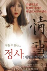 An Affair A Dangerous Sexual Play (2014)