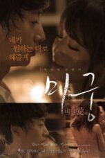Maze: Secret Love (2015)