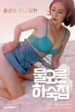 Watery boarding house (2022)