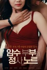 Couple’s love affair notes (2022)