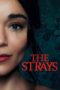 The Strays (2023) The Strays (2023)