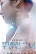 The Transparent Girls Second Story (2022)