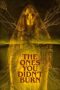 The Ones You Didn’t Burn (2022) The Ones You Didn’t Burn (2022)