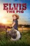 Elvis the Pig (2023) Elvis the Pig (2023)