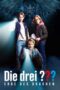 The Three Investigators and The Legacy of the Dragon (2023) The Three Investigators and The Legacy of the Dragon (2023)