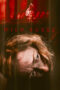 Wild Bones (2022) Wild Bones (2022)