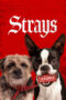 Strays (2023) Strays (2023)